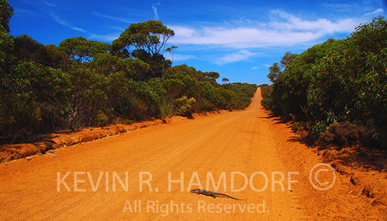 Kangaroo Island, South Australia.