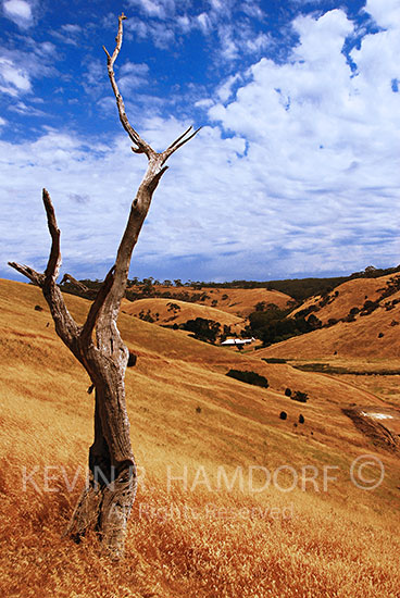 Isolated farmhouse, western river, Kangaroo Island, South Australia.