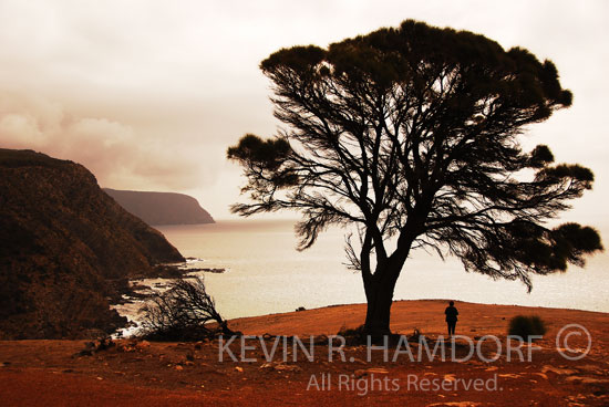 Near Snug Cove looking west towards Cape Forbin, north coast, Kangaroo Island, South Australia.