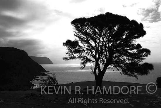 Near Snug Cove looking west towards Cape Forbin, north coast, Kangaroo Island, South Australia.  (Black and White)