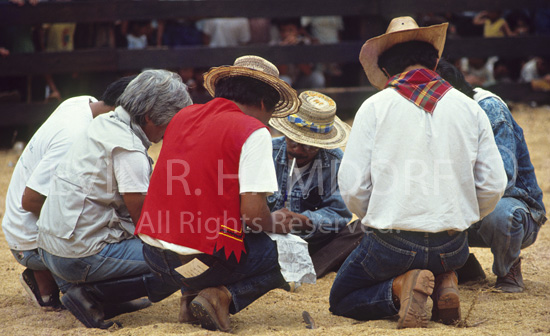 “Judge’s Circle”. Malaybalay Rodeo. Philippines