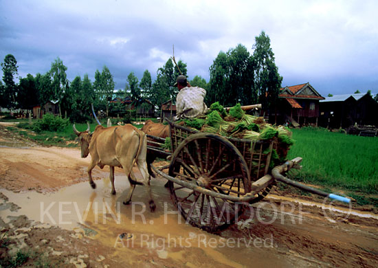 Cambodia (CAM014)