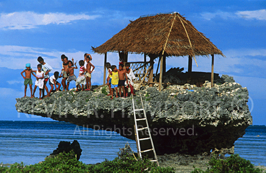 Coral formation, Mactan Island, Cebu, Philippines. (PHCeb04)