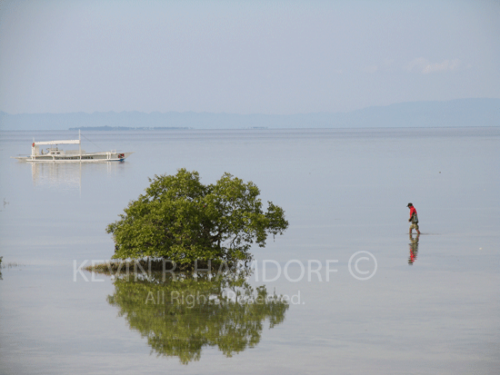 Shell collecting, Mactan Island, Cebu, Philippines. (PHCeb4734)