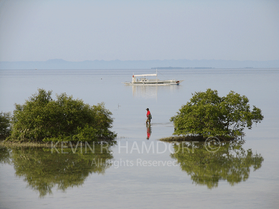 Shell collecting, Mactan Island, Cebu, Philippines. (PHCeb4735)