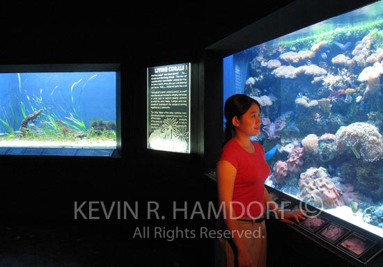 Subic Bay, Philippines